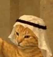 CrudeCat