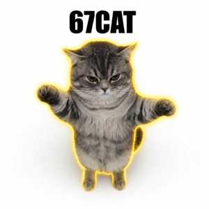 67CAT logo