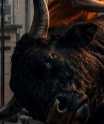 the bull logo