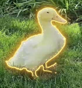 The Miracle Duck logo